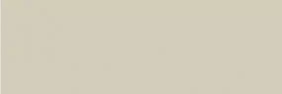 Colorful Champagne Rect 30x90